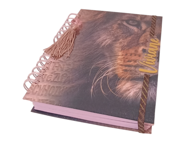 Planner financeiro 2025 - Image 7