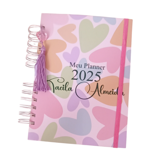 Planner financeiro 2025 - Image 2