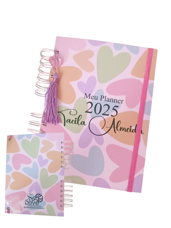 Planner financeiro 2025